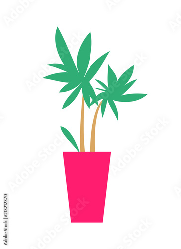 Plant with Broad Leaves Poster Vector Illustration