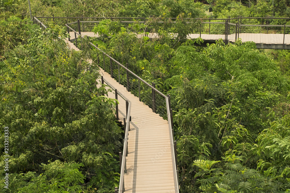 Fototapeta premium The wooden skywalk in outdoor green parks. Parks is natural abundance.