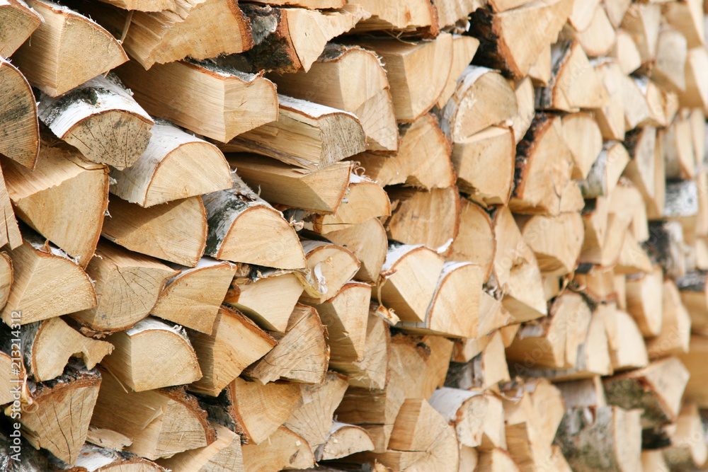 Fototapeta premium drewno opałowe brzoza