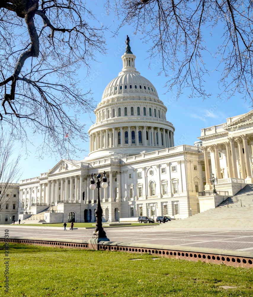 Obraz premium United States Capitol Building in Washington DC