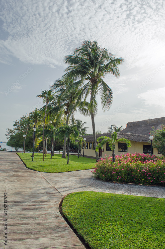 Obraz premium Tropical green trees