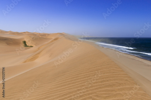 Dunes on the Skeleton Coast   Sandstorm on the Skeleton Coast  dunes to the Atlantic Ocean  Namib Desert  Namibia  Africa.