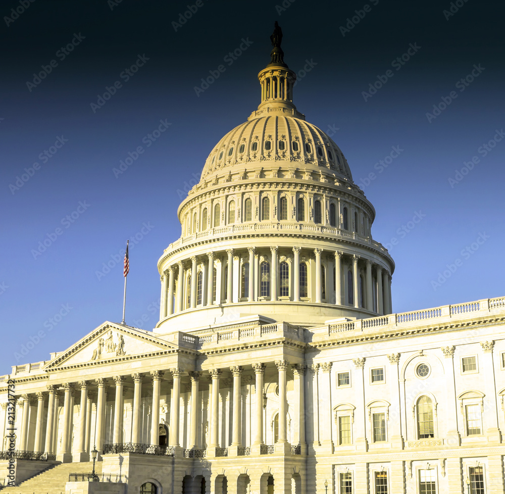 Obraz premium Washington DC - US Capitol building