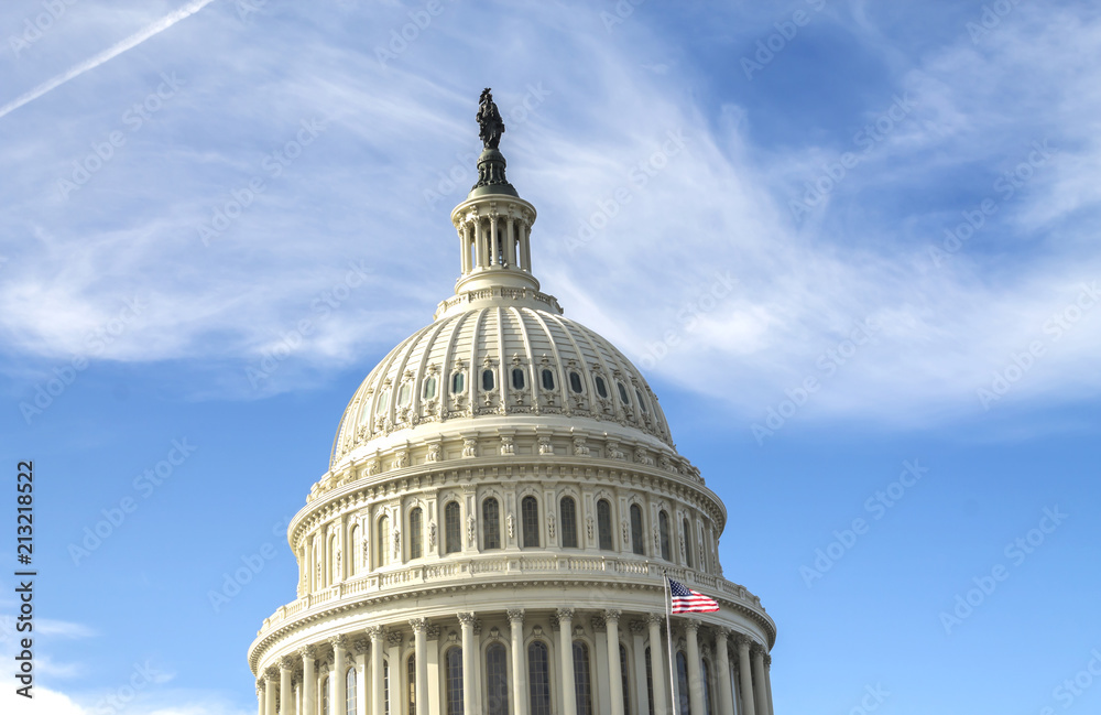 Fototapeta premium United States Capitol Building, Washington DC, USA