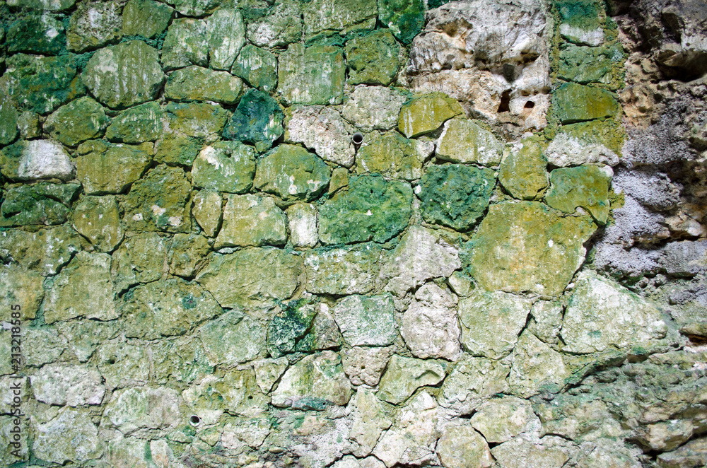 Stone with green moss and algae. Soil, abstract Stone with green moss and algae. Soil, abstract