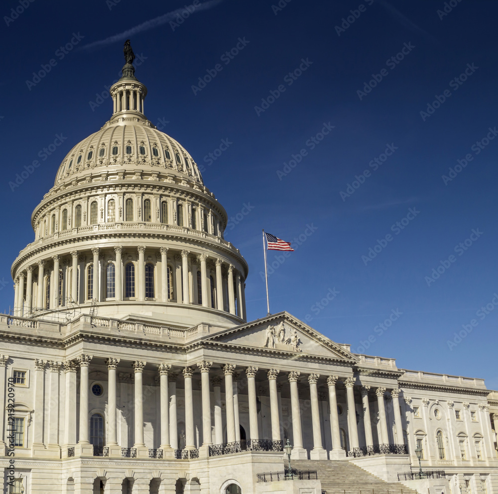 Fototapeta premium Capitol Building in Washington DC USA 