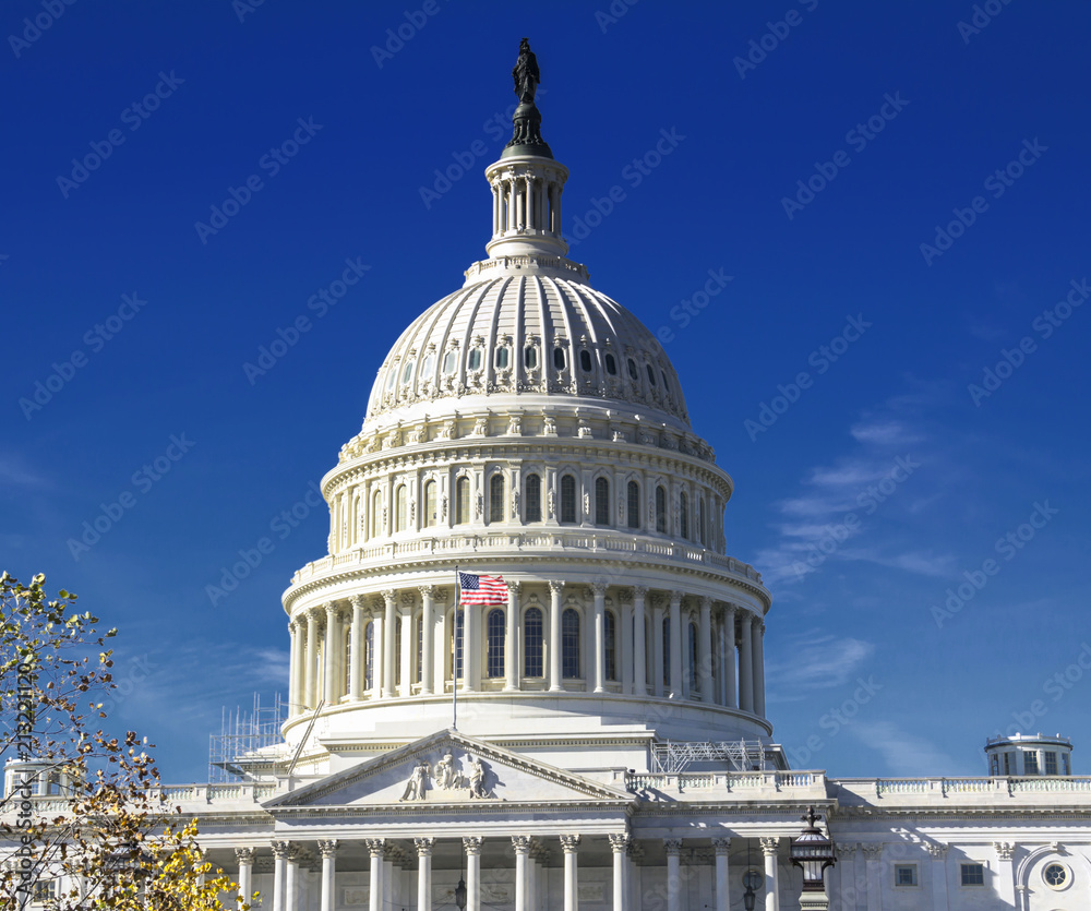 Fototapeta premium Capitol Building in Washington DC USA 