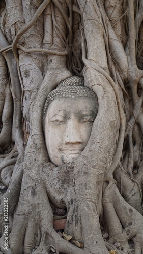 Wat Mahathat © Romy