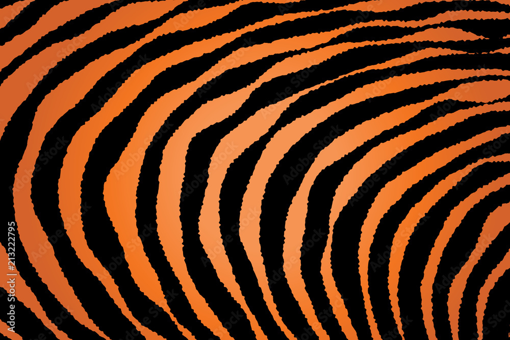 Close up Stripe Animal Pattern Close up Stripe Animal Pattern
