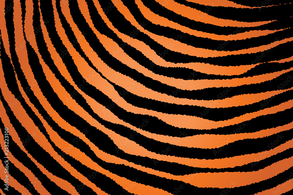 Close up Stripe Animal Pattern Close up Stripe Animal Pattern