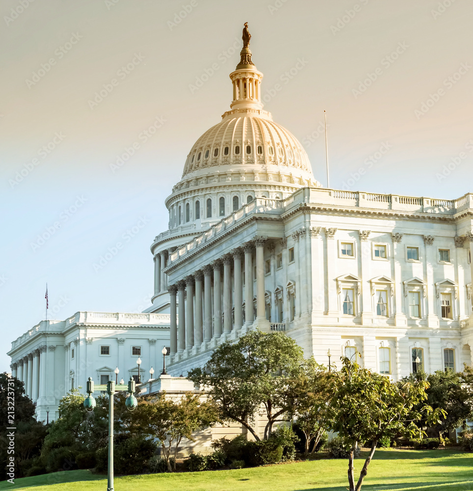 Obraz premium Capitol Building in Washington DC USA 