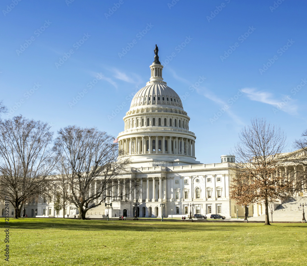 Obraz premium Capitol Building in Washington DC USA 
