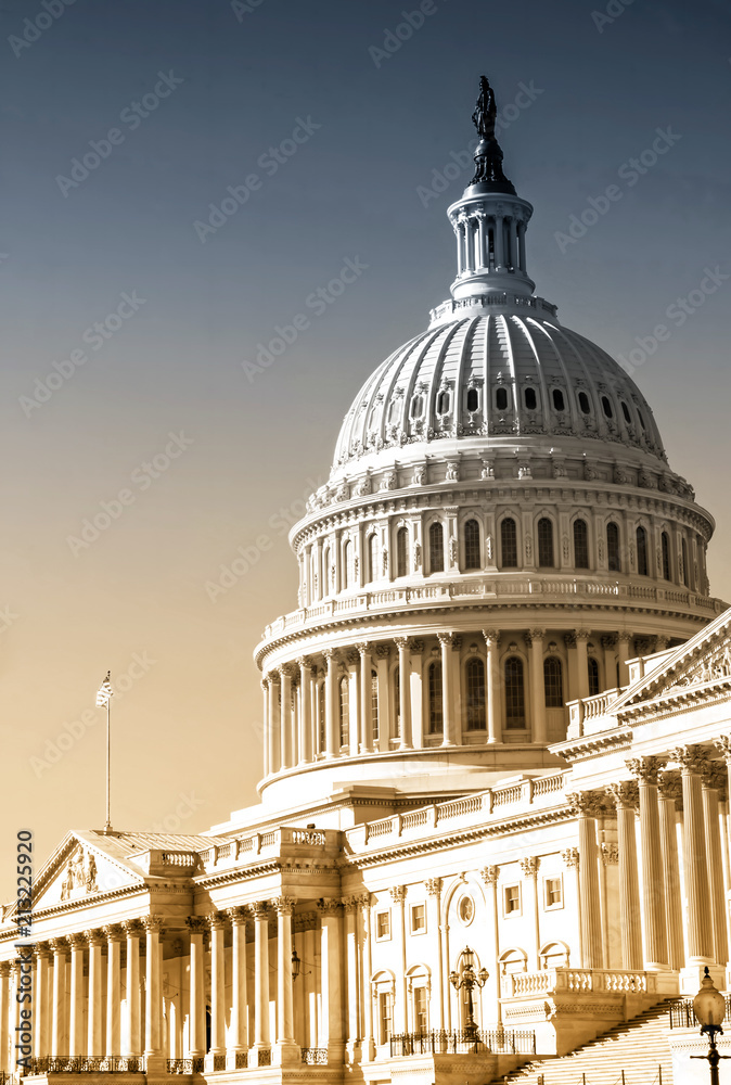 Fototapeta premium United States Capitol Building - Washington DC, USA