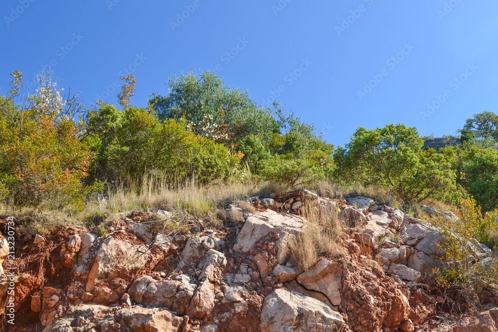 Texture of the rock. Large rocks exfoliate from the rock. The roots of the tree hang down Texture of the rock. Large rocks exfoliate from the rock. The roots of the tree hang down