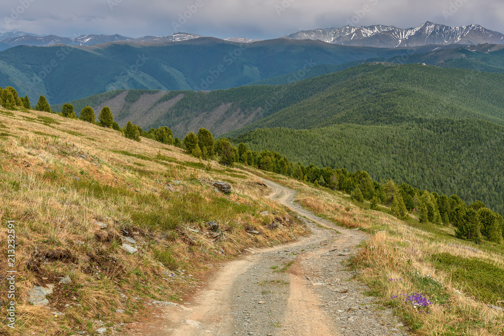 road dirt mountain flowers top