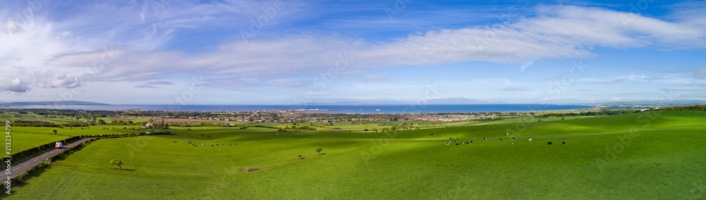 Fototapeta premium Ayrshire Farming