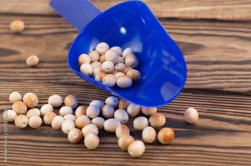 Raw olives in blue plastic scoop on old rustic wooden table Raw olives in blue plastic scoop on old rustic wooden table