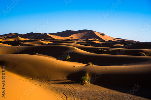 Sand dunes in Sahara desert during the sunny day with the blue sky