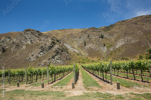 Vineyards in front of a mountain range and next to a driveway at a winery near Queenstown, New Zealand