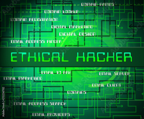Wallpaper Mural Ethical Hacker Tracking Server Vulnerability 2d Illustration Torontodigital.ca
