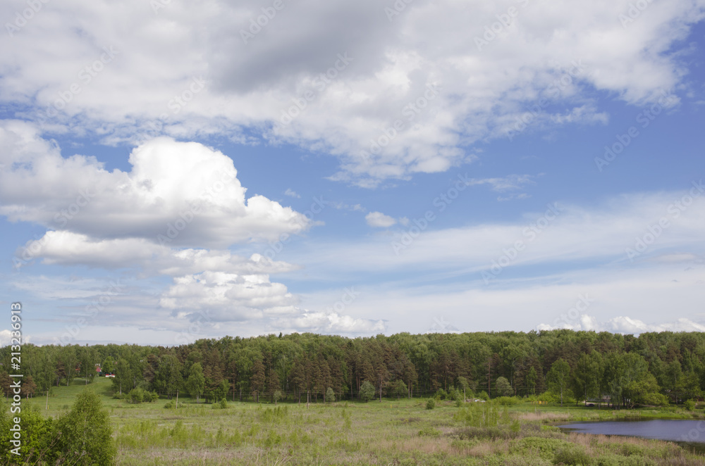 summer landscape