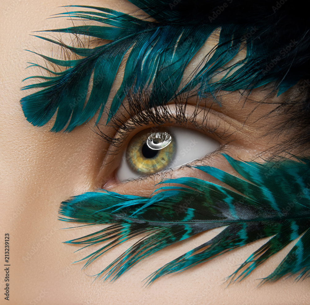 Macro and close-up creative make-up theme: beautiful female eyes ...