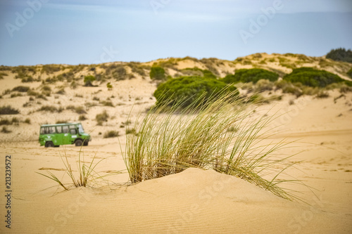 Sand dunes and 4x4 truck in Doñana Natural Park, Andalusia,spain photo