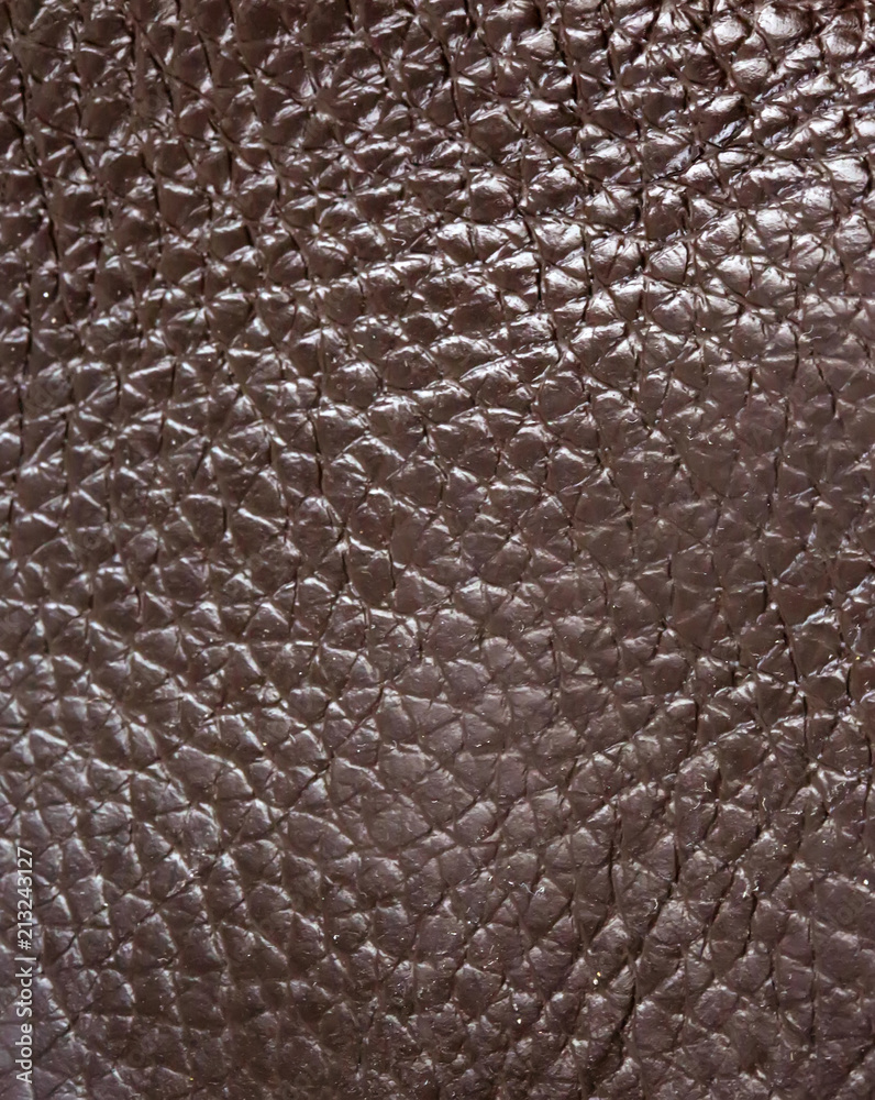 Detail of leather texture Detail of leather texture
