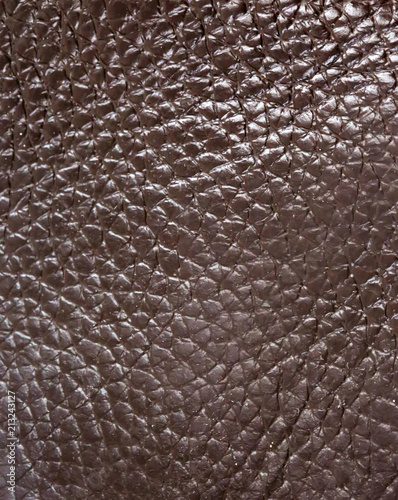 Detail of leather texture