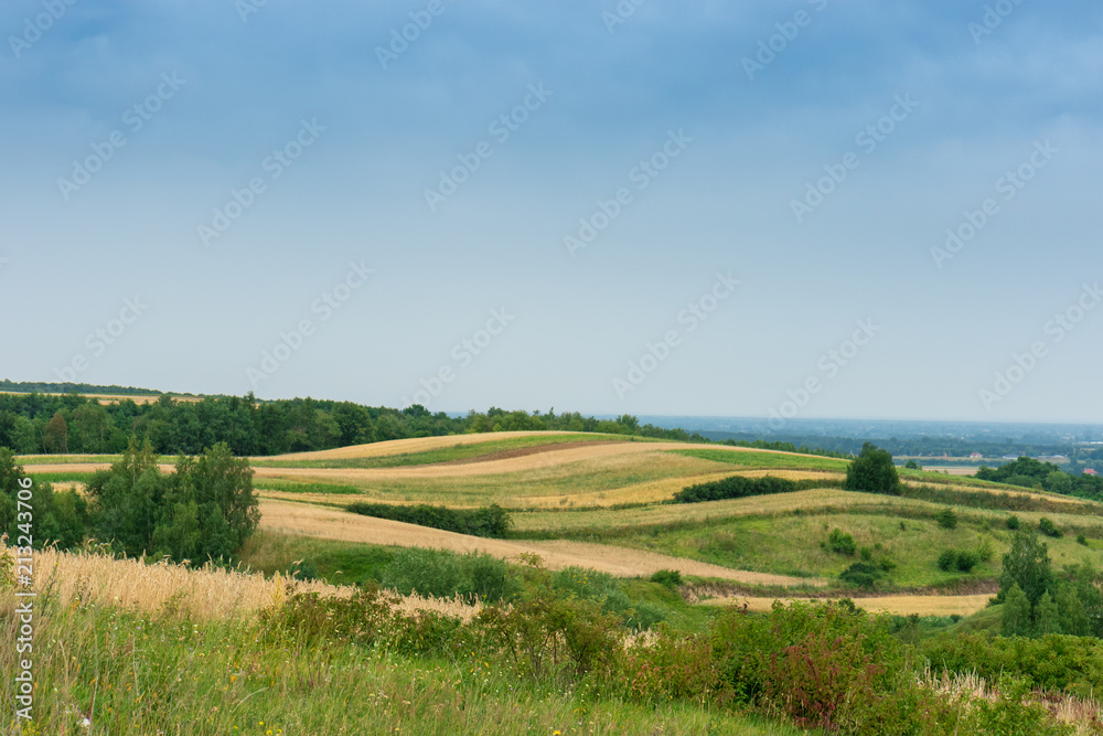 A beautiful, summer rural landscape in Poland.  Fields, meadows and lots of shades of yellow and green