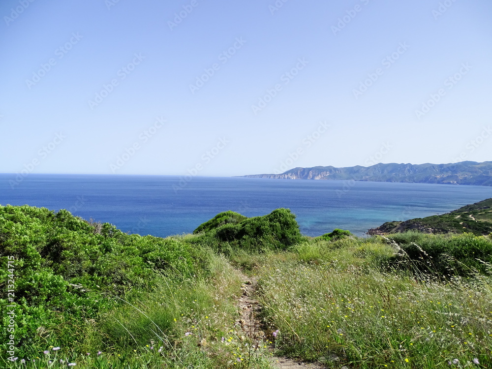mare mare