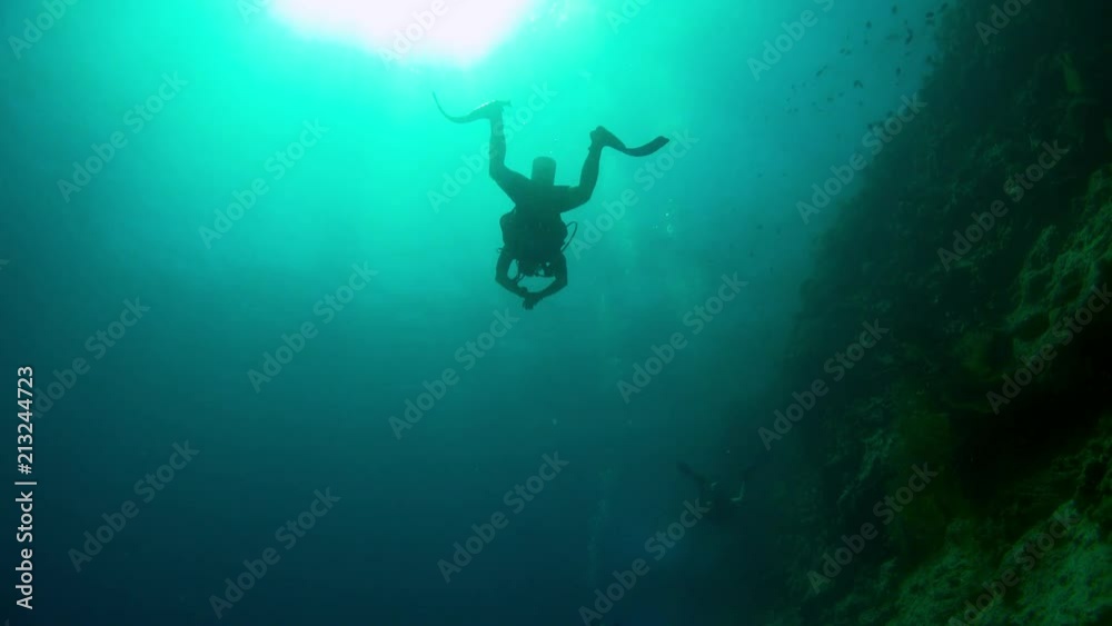 Divers Swims over Coral Reefs