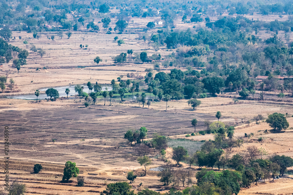 Fototapeta premium aerial photo of agro landscape of field & small forest from a top of mountain hills summer view of green land with fields and gardens.