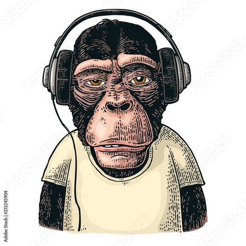 Monkey dressed t-shirt hear headphones. Vintage color engraving