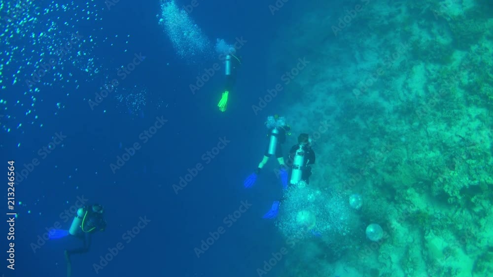 Divers Swims over Coral Reefs Divers Swims over Coral Reefs