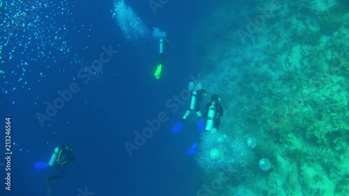 Wallpaper Mural Divers Swims over Coral Reefs Torontodigital.ca