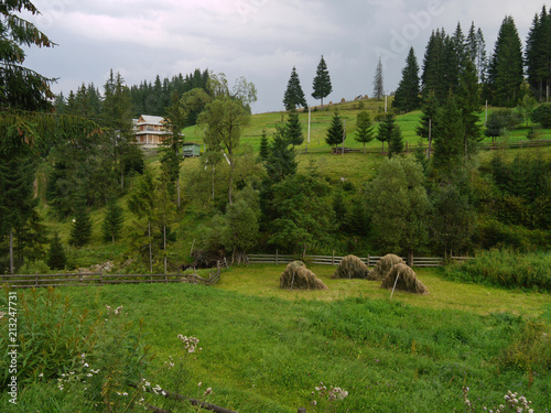 Harvested haystacks in a rural area enclosed by a wooden fence with a master's house on a slope.