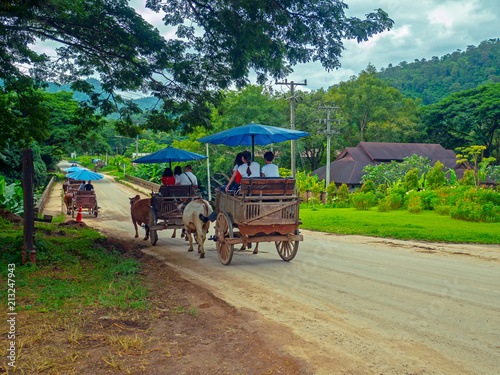 Canvas Print The ox cart at Mae Taman (local name) camp in Mae Tang district in Chiang Mai province , Thailand