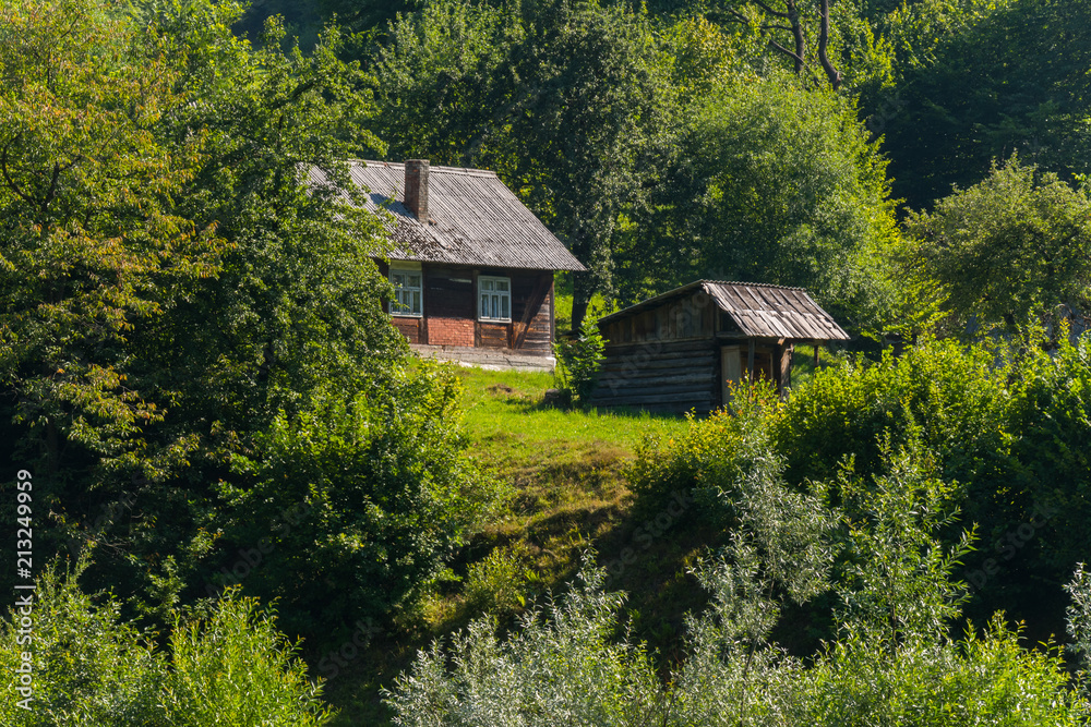 Old rural house on the mountainside with green trees and shrubs