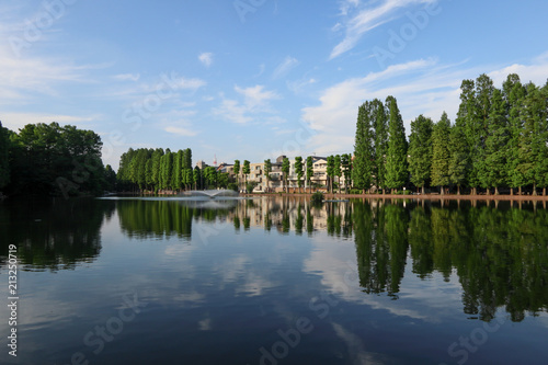 Fototapeta Naklejka Na Ścianę i Meble -  別所沼公園　さいたま市南区
