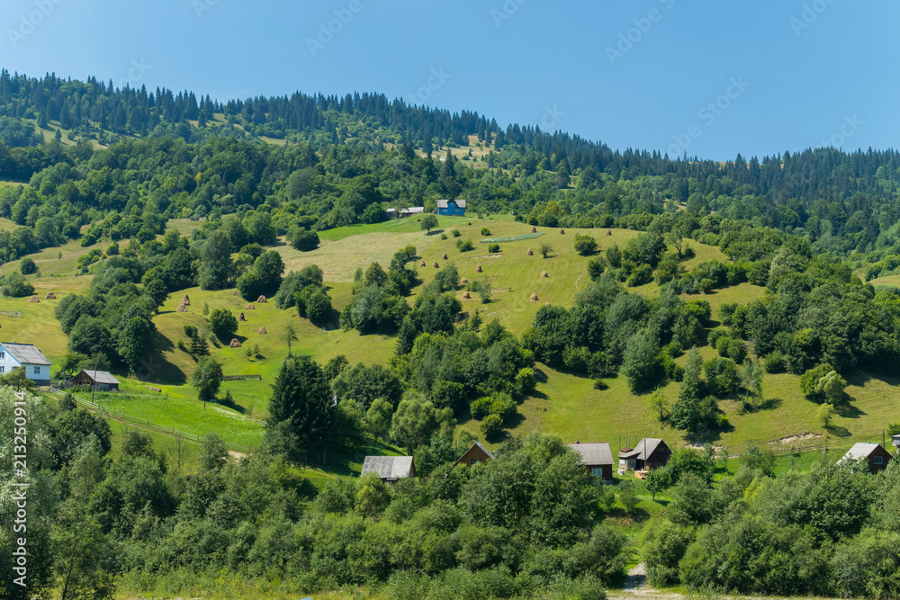 Green meadows with tall trees and thick grass. And the pines on the horizon