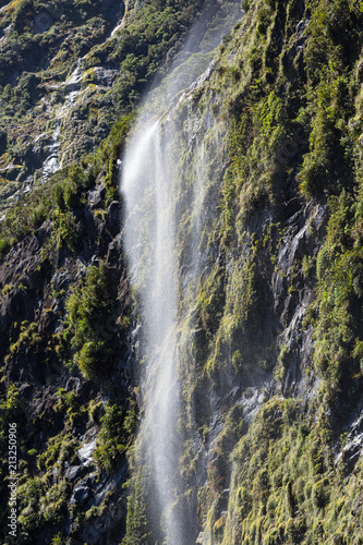 Fototapeta Naklejka Na Ścianę i Meble -  Waterfall at Milford Sound, Fiordland, New Zealand