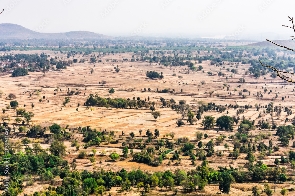 Top view or aerial shot from top of a rocky mountain of fresh green and yellow rice fields in sunny day of summer season in rural village of india.