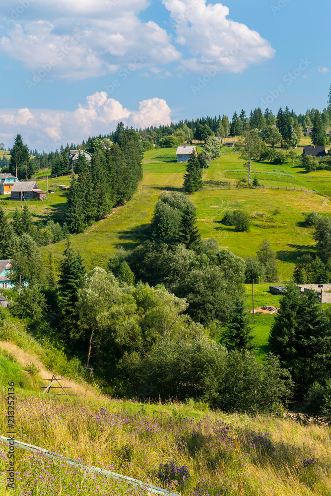 village houses on a green mountain slope with summer fields and tall trees under a blue cloudy sky. place of rest and tourism