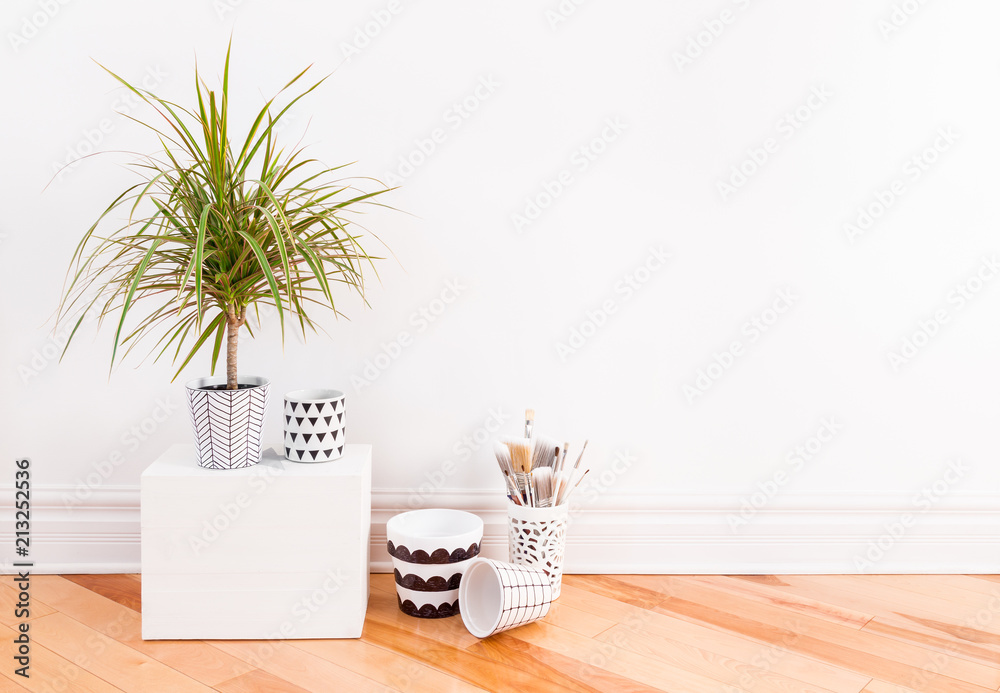 Naklejka premium Little palm tree and hand-painted ceramic pots