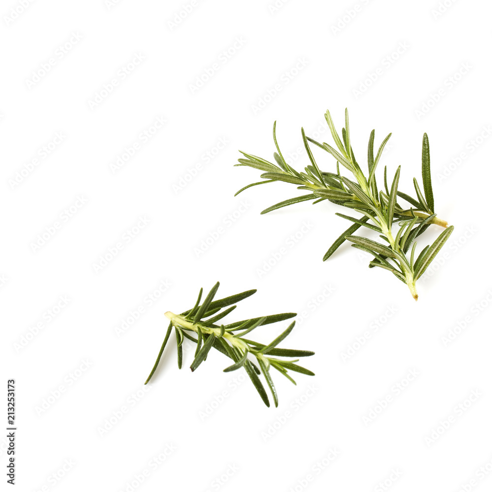 Fototapeta premium rosemary isolated on white background