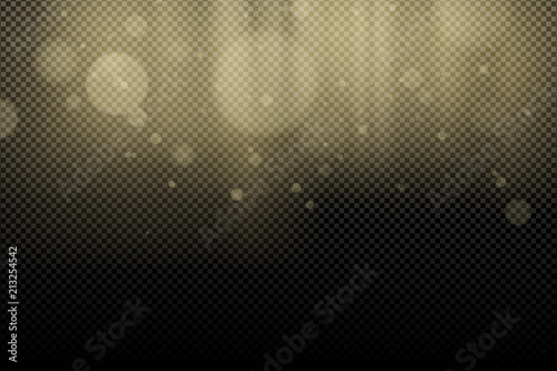 Golden glares bokeh and rays light on a transparent background. Abstract background for your design. Light effect for the photo. Vector illustration