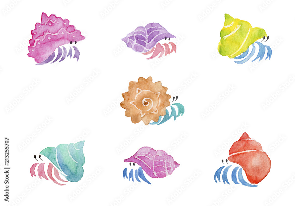 カラフルなヤドカリ 水彩イラスト Stock Illustration Adobe Stock