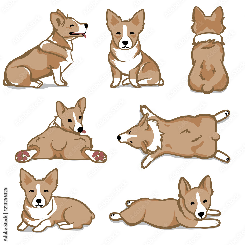 Vector Pembroke Welsh Corgi drawings