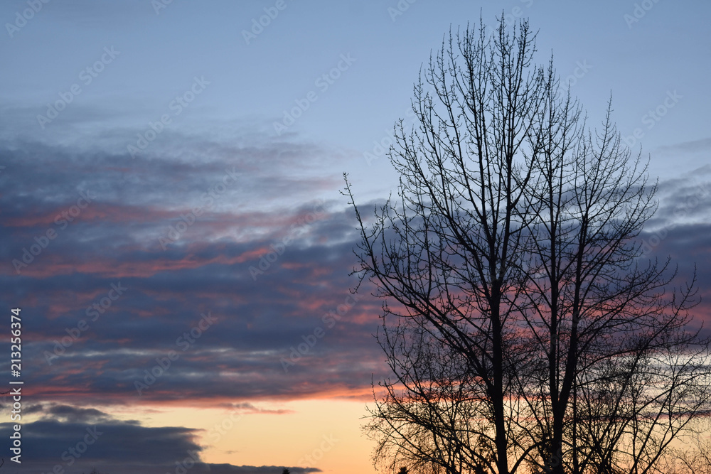 Sunset in Alaska Sunset in Alaska
